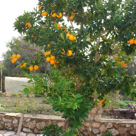 Villa Galini Nikiana Dış mekan fotoğraf