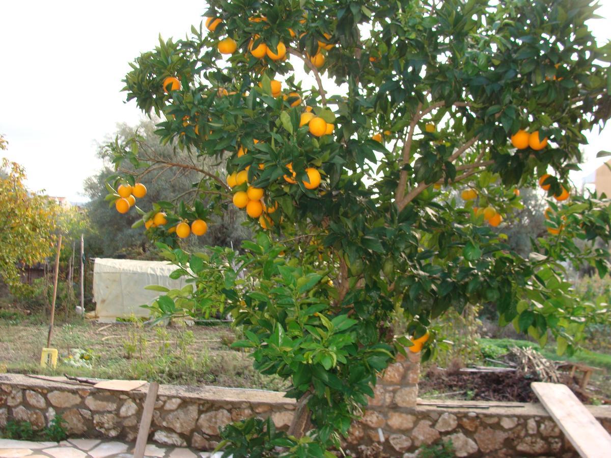 Villa Galini Nikiana Dış mekan fotoğraf